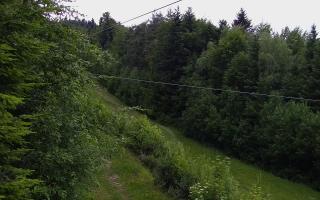 Laskowa pośredni - 12-06-2026 18:32