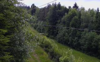 Laskowa pośredni - 12-06-2026 18:43