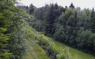 Laskowa pośredni - 12-06-2026 18:54