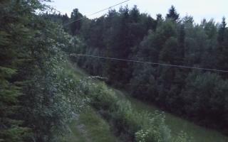 Laskowa pośredni - 12-06-2026 19:27