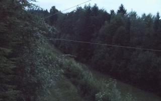 Laskowa pośredni - 12-06-2026 19:38