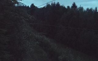 Laskowa pośredni - 12-06-2026 19:49