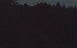 Laskowa pośredni - 12-06-2026 20:11