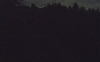 Laskowa pośredni - 12-06-2026 20:22
