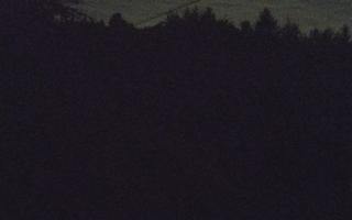 Laskowa pośredni - 12-06-2026 20:44
