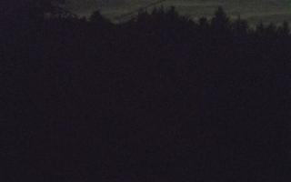 Laskowa pośredni - 12-06-2026 21:06