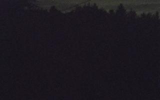 Laskowa pośredni - 12-06-2026 21:17