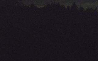 Laskowa pośredni - 12-06-2026 21:28