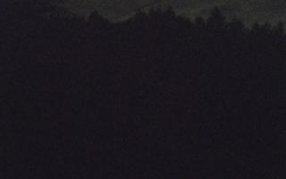 Laskowa pośredni - 12-06-2026 22:11