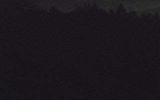 Laskowa pośredni - 12-06-2026 22:55