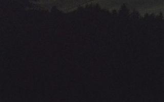Laskowa pośredni - 12-06-2026 23:06