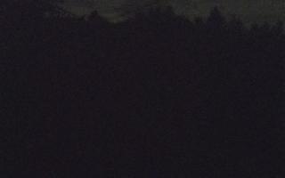 Laskowa pośredni - 12-06-2026 23:28