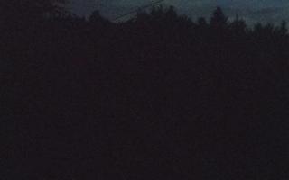 Laskowa pośredni - 13-06-2026 00:45