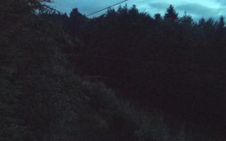 Laskowa pośredni - 13-06-2026 01:18