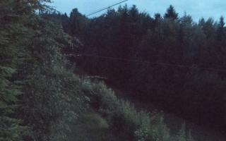 Laskowa pośredni - 13-06-2026 01:29