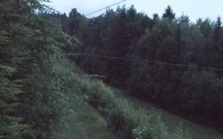 Laskowa pośredni - 13-06-2026 01:40
