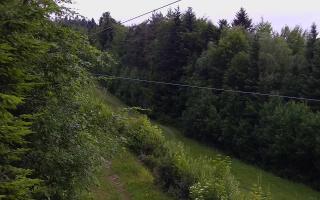 Laskowa pośredni - 13-06-2026 02:24