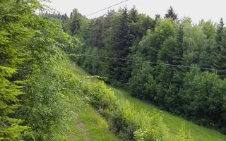 Laskowa pośredni - 13-06-2026 02:57