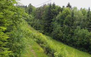 Laskowa pośredni - 13-06-2026 03:30