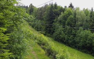 Laskowa pośredni - 13-06-2026 03:52