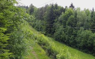 Laskowa pośredni - 13-06-2026 04:03