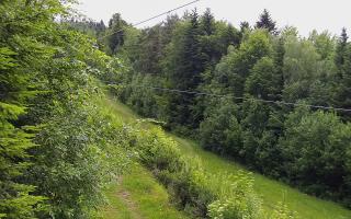 Laskowa pośredni - 13-06-2026 04:14