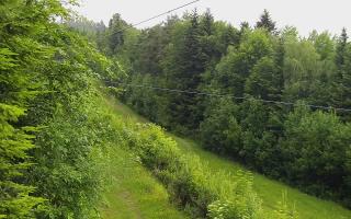 Laskowa pośredni - 13-06-2026 04:25