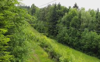 Laskowa pośredni - 15-06-2026 04:21