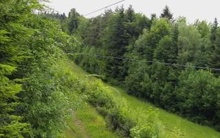 Laskowa pośredni - 15-06-2026 04:32