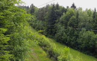 Laskowa pośredni - 15-06-2026 05:16