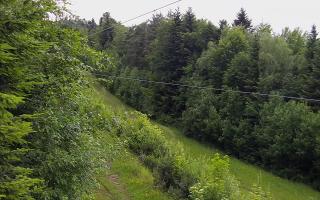 Laskowa pośredni - 15-06-2026 05:27