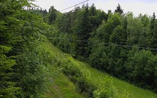 Laskowa pośredni - 15-06-2026 05:38