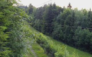 Laskowa pośredni - 15-06-2026 18:04