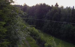 Laskowa pośredni - 15-06-2026 18:59