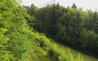 Laskowa pośredni - 17-06-2026 08:08
