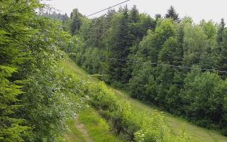 Laskowa pośredni - 17-06-2026 08:19