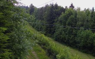 Laskowa pośredni - 17-06-2026 08:30