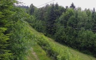 Laskowa pośredni - 17-06-2026 08:41