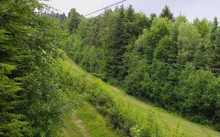 Laskowa pośredni - 17-06-2026 09:03