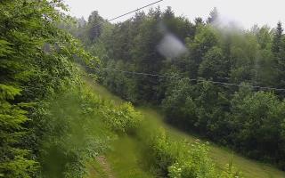 Laskowa pośredni - 17-06-2026 09:14
