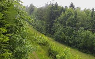 Laskowa pośredni - 17-06-2026 09:25