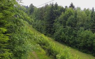 Laskowa pośredni - 17-06-2026 09:36