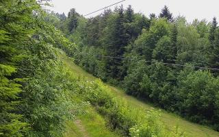 Laskowa pośredni - 17-06-2026 09:47