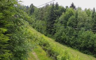 Laskowa pośredni - 17-06-2026 09:58