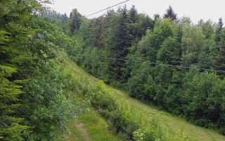 Laskowa pośredni - 17-06-2026 10:20
