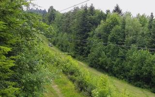 Laskowa pośredni - 17-06-2026 10:31