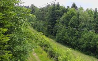 Laskowa pośredni - 17-06-2026 10:42