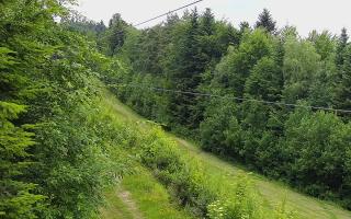 Laskowa pośredni - 17-06-2026 11:04