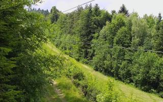 Laskowa pośredni - 17-06-2026 11:26