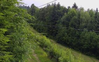 Laskowa pośredni - 17-06-2026 11:37